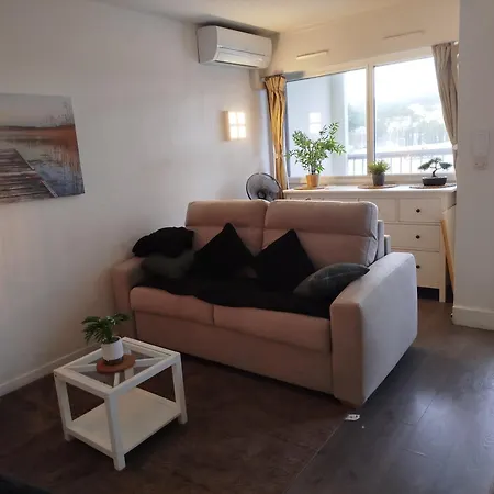 Port Piscine, Parking, Prive,navette Aeroport Apartment