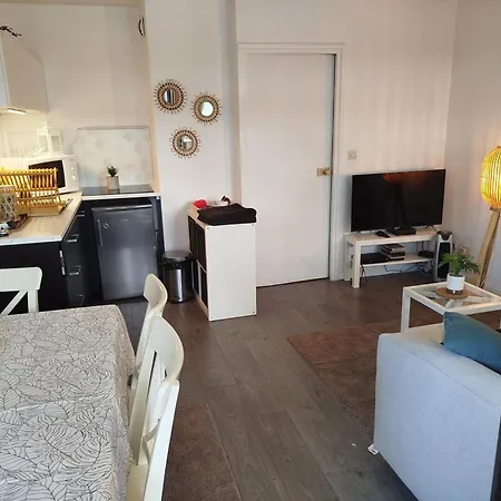 Apartment Port Piscine, Parking, Prive,navette Aeroport *